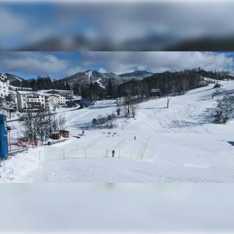 Tokyo: Nagano Private Tour with Igloo Village & snow Monkeys - Shiga Kogen Ski Resort – Scenic Mountain Views