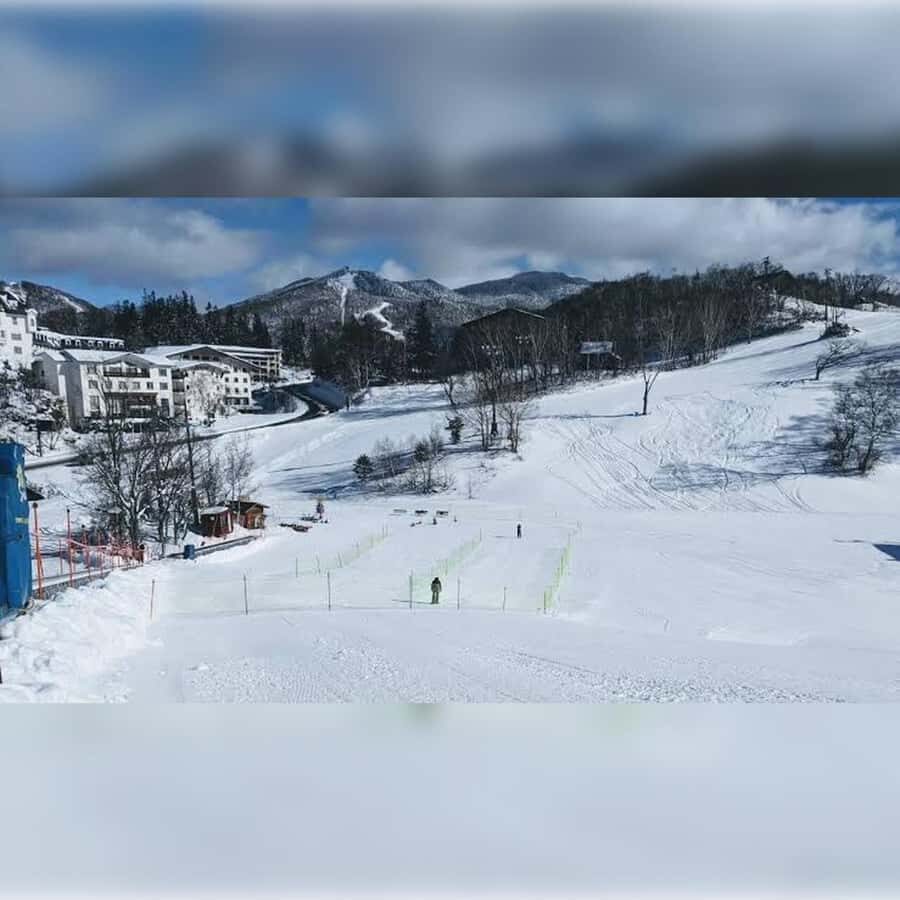 Tokyo: Nagano Private Tour with Igloo Village & snow Monkeys - Shiga Kogen Ski Resort – Scenic Mountain Views