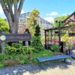 Tokyo & Nagano: Snow Monkey & Zenkoji Temple Adjustable Tour - The Practicalities: Transportation, Timing, and Group Size