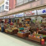 Tokyo: Nagatoro, Mitsumine Shrine & Waterfalls One-Day Tour - Cultural and Spiritual Exploration at Mitsumine Shrine