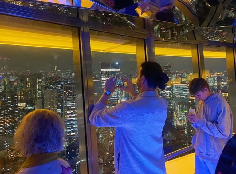 Tokyo : Night E-Bike Tour with Tokyo Tower and Dolphin Show - Possible Considerations