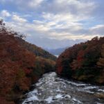 Tokyo: Nikko Day Tour with Private Vehicle and Guide - A Deep Dive into the Nikko Day Tour Experience