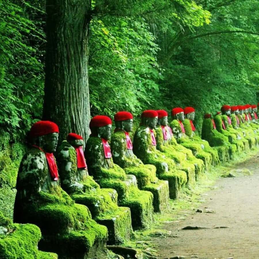 Tokyo: Nikko National Park Private Tour Customised Itinerary - Practical Details: What You Should Know