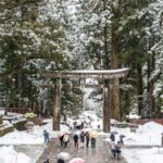 Tokyo: Nikko National Park Private Tour Hotel Pickup & Guide - How the Tour Offers Genuine Value