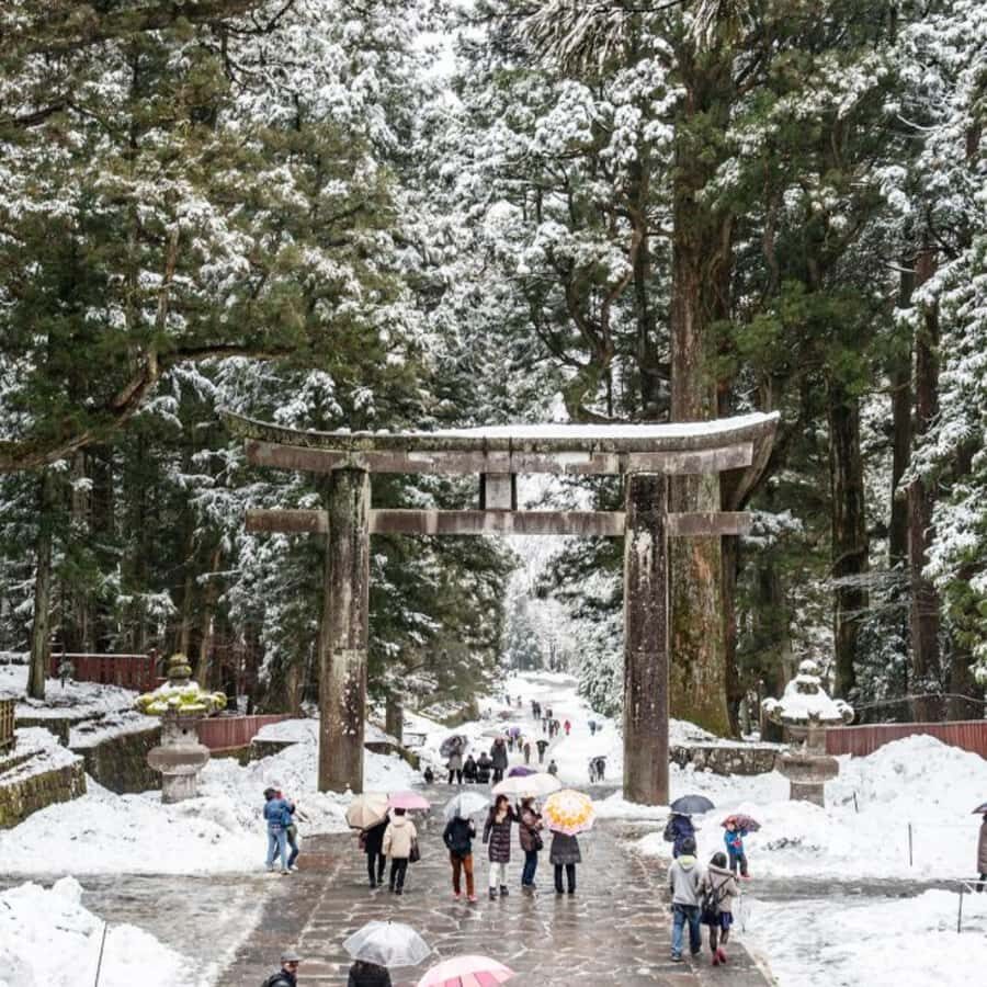 Tokyo: Nikko National Park Private Tour Hotel Pickup & Guide - How the Tour Offers Genuine Value