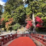 Tokyo: Nikko One Day Private & Customizable Tour - Detailed Breakdown of the Itinerary & Highlights