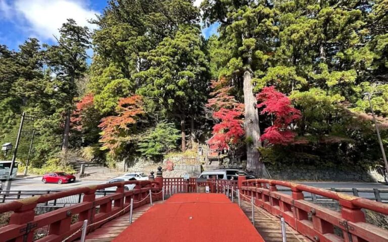 Tokyo: Nikko One Day Private & Customizable Tour - Detailed Breakdown of the Itinerary & Highlights