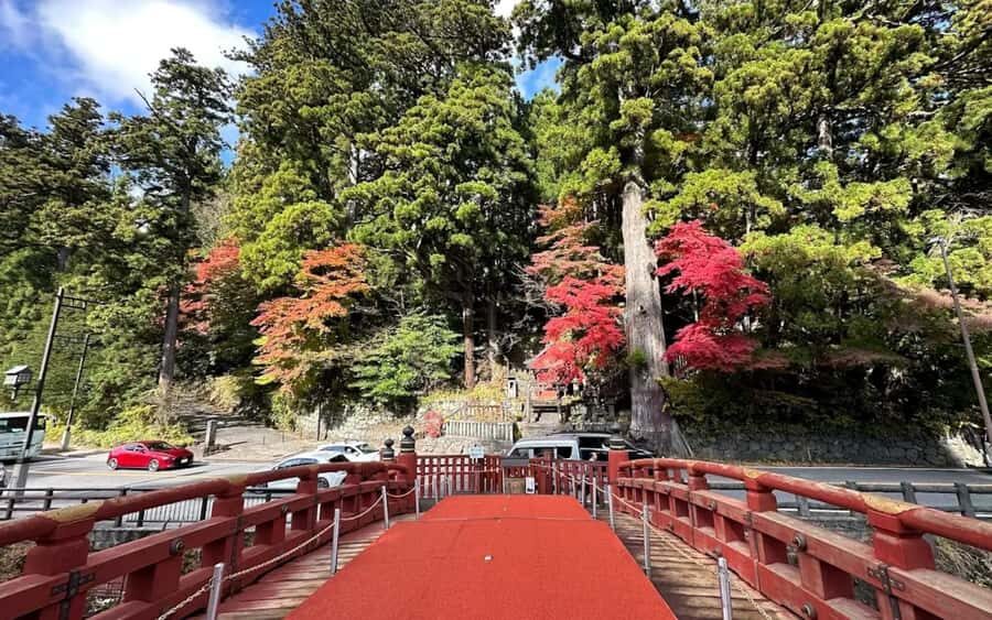 Tokyo: Nikko One Day Private & Customizable Tour - Detailed Breakdown of the Itinerary & Highlights