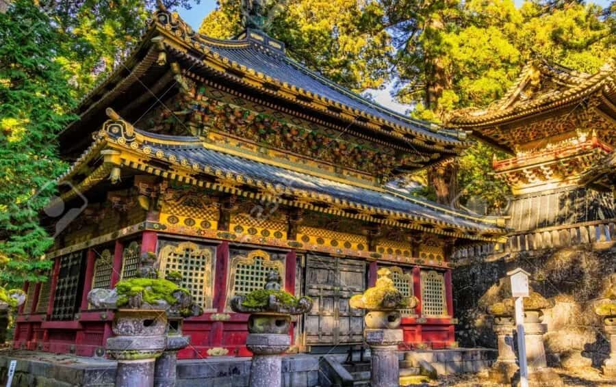 Tokyo: Nikko One Day Private & Customizable Tour - Transportation and Comfort