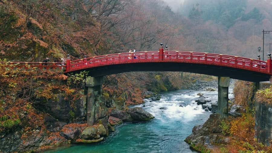 Tokyo: Nikko Private Day Trip with Temples and Nature - In-Depth Look at the Itinerary