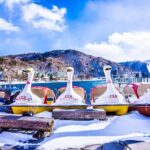 Tokyo: Nikko Shrines, Waterfalls & Scenic Day Trip - Authentic Experiences & Review Insights