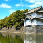 Tokyo Private Custom Walking Tour - Practical Aspects & What to Expect