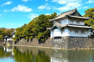 Tokyo Private Custom Walking Tour - Practical Aspects & What to Expect