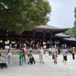 Tokyo: Private Customizable Tour with a Local Guide - What Travelers Can Expect