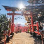 Tokyo: Private Mt.Fuji Day Trip with English-Speaking Driver - The Itinerary in Detail