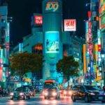 Tokyo: Private Tailored Tour with a Local Guide - The Practical Side: What to Expect