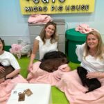 Tokyo Private Tour  A Warm and Personal Day - The Itinerary: A Guided Day with Flexibility