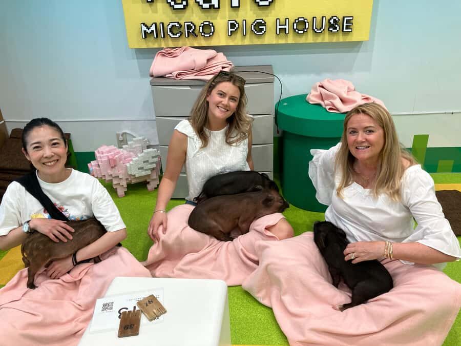 Tokyo Private Tour  A Warm and Personal Day - The Itinerary: A Guided Day with Flexibility  