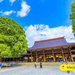 Tokyo Private Tour by Car with English-Speaking Driver (Premium) - In-Depth Look at the Itinerary