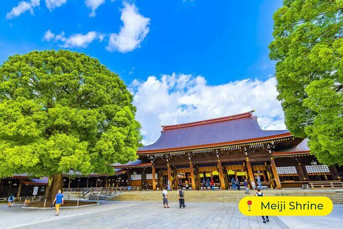 Tokyo Private Tour by Car with English-Speaking Driver (Premium) - Practical Considerations