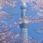 Tokyo private tour by car with pick up - Deep Dive into the Itinerary