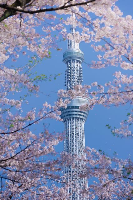 Tokyo private tour by car with pick up - Deep Dive into the Itinerary