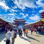 Tokyo Private Tour in Luxury Vehicle with English Guide - The Benefits of a Private, Customizable Tour