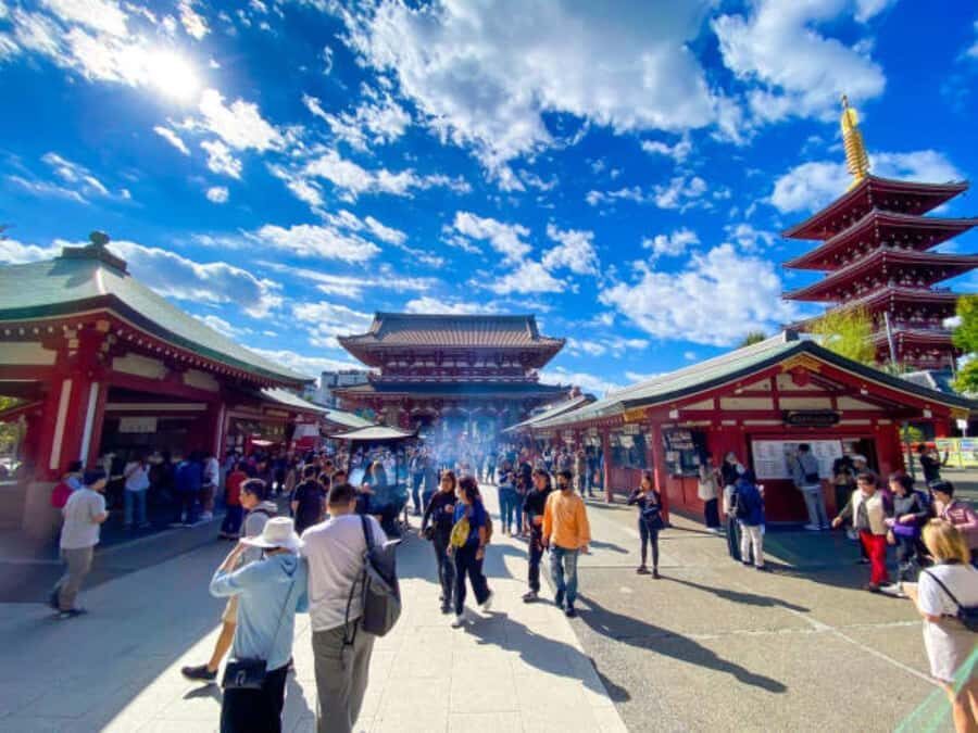 Tokyo Private Tour in Luxury Vehicle with English Guide - The Benefits of a Private, Customizable Tour