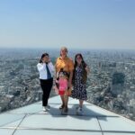 Tokyo Private Tour: One Day Highlights and Optional Shibuya Sky - A Deep Dive into the Tour Experience
