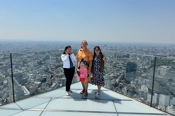 Tokyo Private Tour: One Day Highlights and Optional Shibuya Sky - A Deep Dive into the Tour Experience