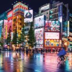 Tokyo Private Tour with English Speaking Driver Customizable - Practicalities and Comfort