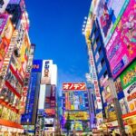 Tokyo Private Tour with English Speaking Driver Customizable - Who Would Love This Tour?