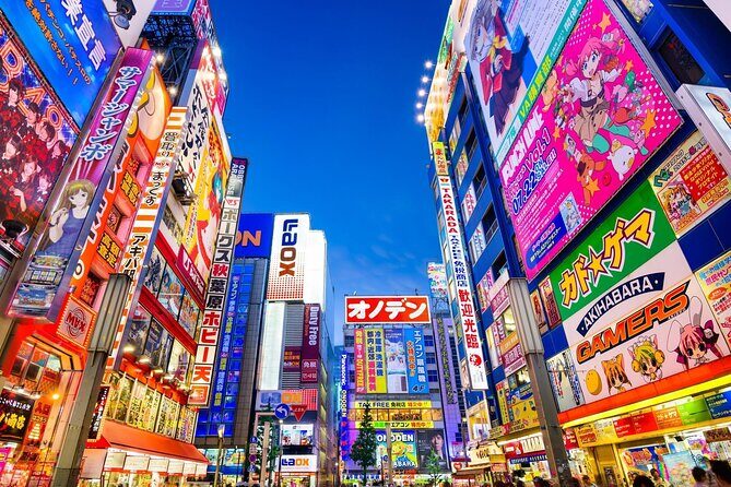 Tokyo Private Tour with English Speaking Driver Customizable - Who Would Love This Tour?