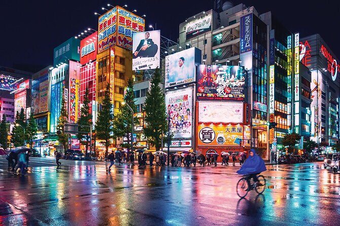 Tokyo Private Tour with English Speaking Driver Customizable - Practicalities and Comfort