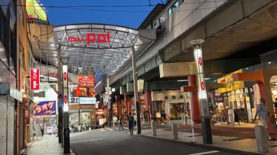 Tokyo Retro Vibes and Izakaya Tour in KOENJI - Visiting the Kisho Shrine