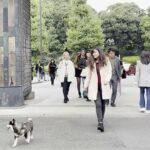 Tokyo Shiba Inu Walk | Picnic with Ginta at Edo Castle Gardens - Why This Tour Offers Great Value