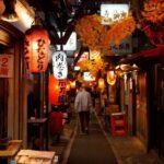 Tokyo Shinjuku Food Tour 16 Dishes and 4 Eateries - Who Will Love This Tour?