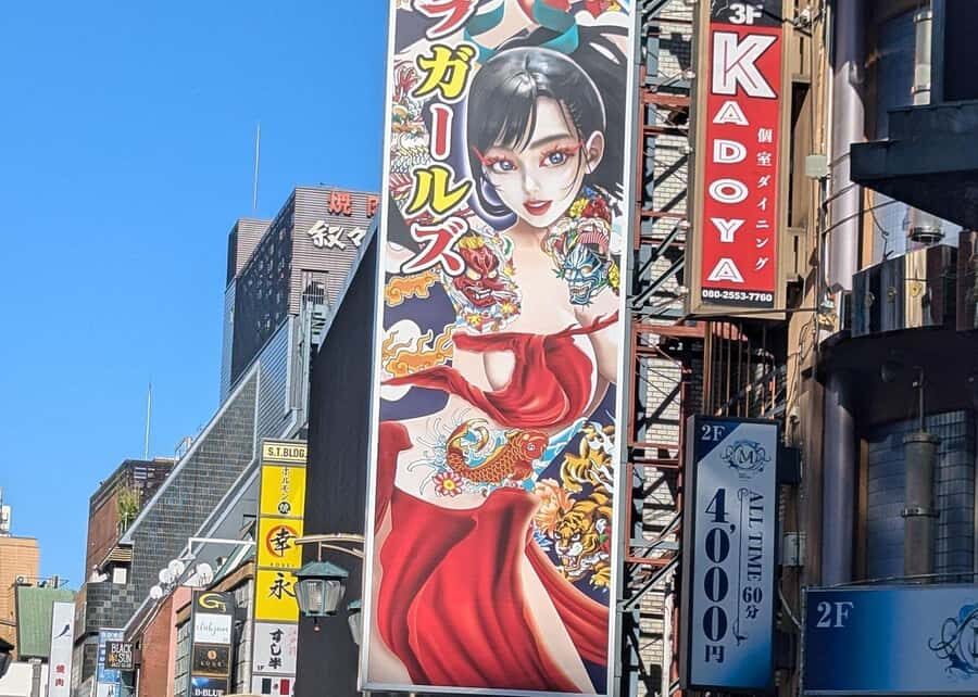 Tokyo: Shinjuku Kabukicho Show of Song & Dance with 2Drinks - The Logistics & Practicalities