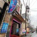 Tokyo: Shinjuku, Kawasaki, Slum & Red Light Tour with Pickup - What Makes This Tour Valuable?