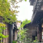 Tokyo : Stroll in the Old traditional town~Yanaka & Nezu - Why This Tour Might Be Perfect for You