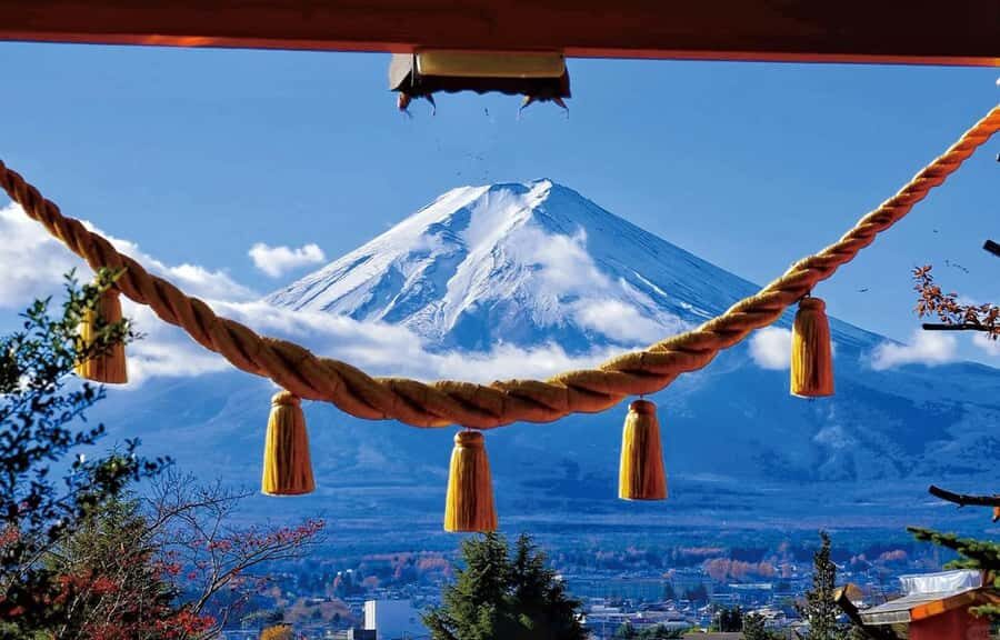 Tokyo Stunning Views of Mount Fuji Best-Selling One-Day Trip - Practical Details & Value