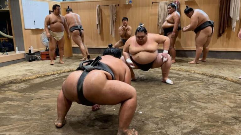 Tokyo: Sumo Morning Practice & Chanko Breakfast Experience - Practical Details