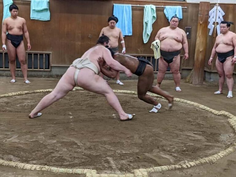 Tokyo: Sumo Morning Practice -Stable Visit Tour with a Guide - Practical Details and Tips