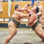 Tokyo: Sumo Morning Practice Viewing Tour at a Real Stable - Who Would Love This Experience?