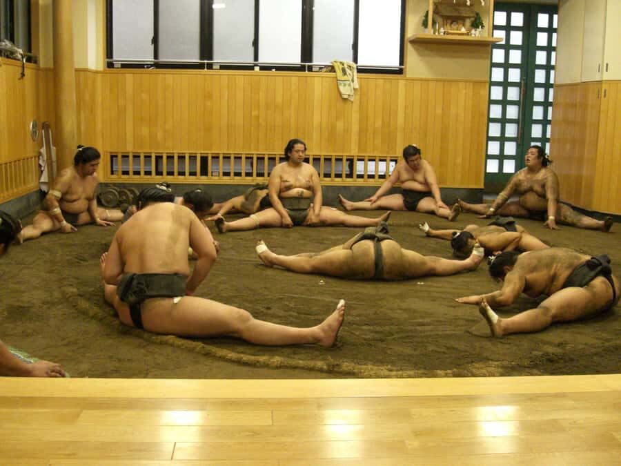 Tokyo: Sumo Morning Training Watching EXP. with Sumo Guide - Practical Details and Considerations