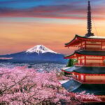 Tokyo to Mount Fuji A Full Day Private Tour From Tokyo - Final Thoughts