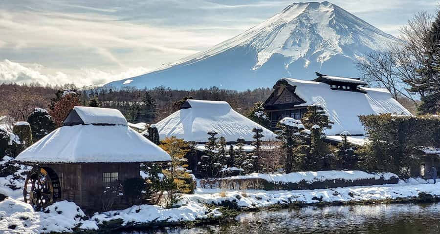 Tokyo To Mt.Fuji Day Trip With 6 Must-visit Scenic Spots - What Makes This Tour Stand Out?
