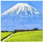 Tokyo to Mt. Fuji & Hakone: Private Customizable Day Trip - The Itinerary and Highlights