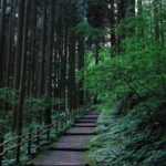 Tokyo: Togakushi Sacred Trail Day Tour with Shinkansen - Nature’s Quiet Majesty