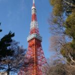 Tokyo: Top 3 Hidden Tokyo Tower Photo Spots and Local Shrine - An in-depth Look at the Tour Experience